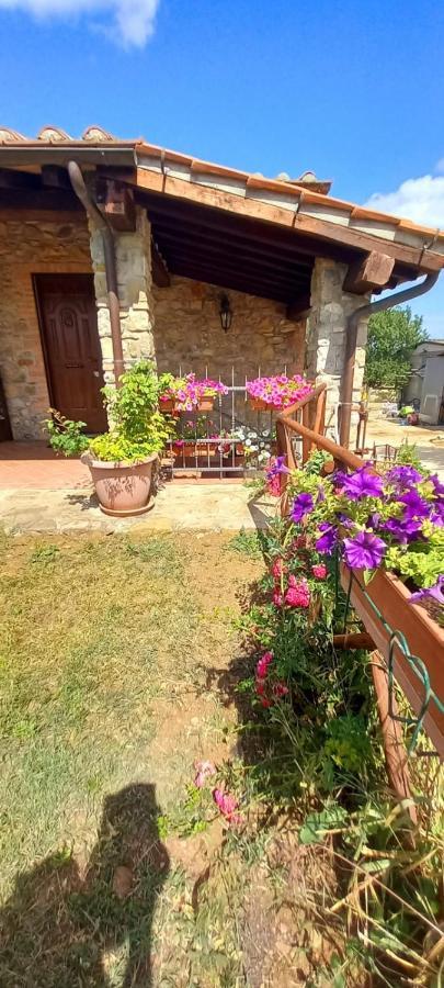 Agriturismo La Casina Saturnia Exterior foto